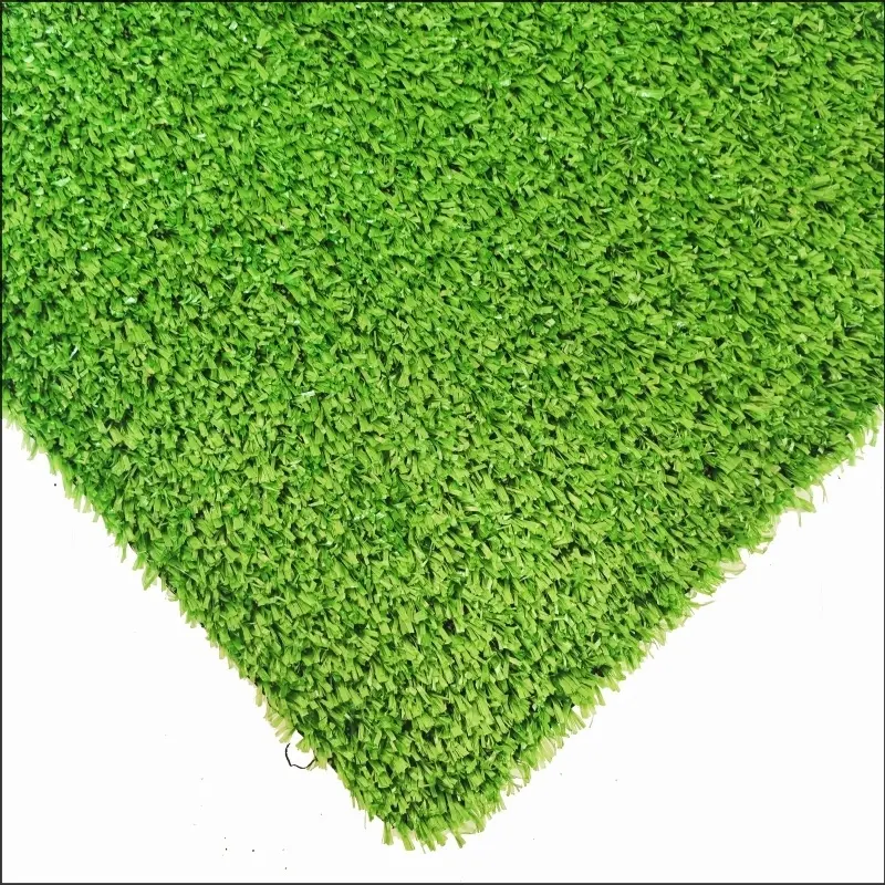 Teppichgras CG10